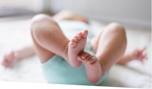 image de la catégorie